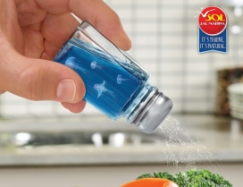 Sal Sol食品调味剂平面广告