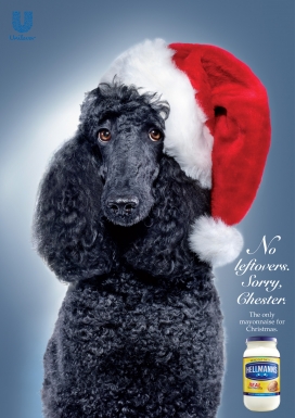 Hellmanns Mayonnaise宠物平面广告