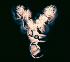 俄罗斯Micro type墨迹字体设计