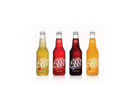 美国Fizzy Lizzy碳酸无糖果汁饮料线的设计