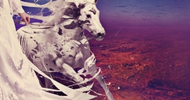 欧美Inspirational Quotes Poster Design - Struggle励志行情海报设计-奋斗