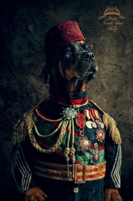 BGD宠物“军官”平面广告