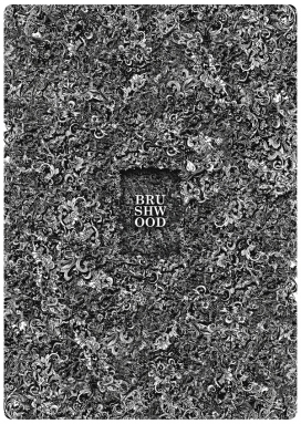 欧美BRUSHWOOD时尚花纹字母字体设计