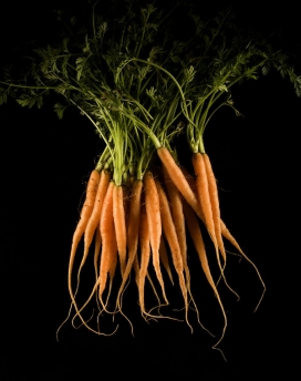 欧美Food食物摄影图