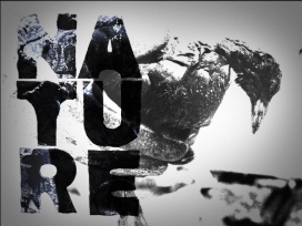 加拿大BLACKOIL FONT黑色艺术字体排版设计