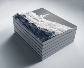 国外For Browsing Only书记装帧设计