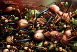 昆虫Invertebraxa莎莎插画