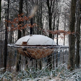 英国多塞特郡胡克公园树林之间的飞碟住宅-美国设计师Jesse Randzio作品
