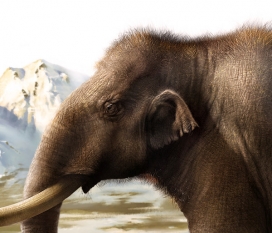 Mammoth猛犸