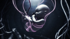 加拿大Tendril Design插画设计-宣言片段