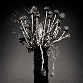 澳大利亚珀斯Mark Boyle摄影师作品-Monoscapes黑白风景