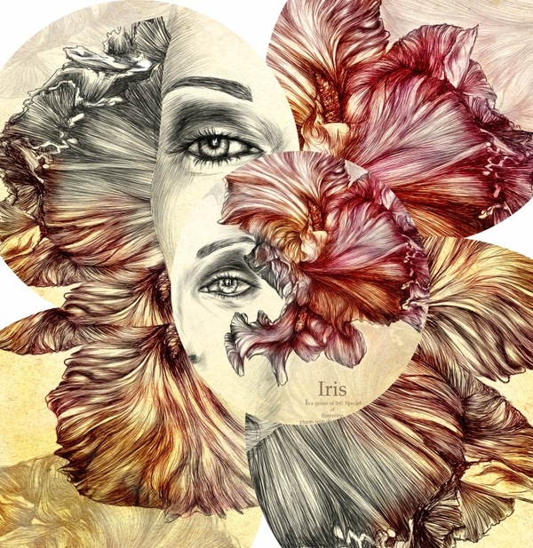 flower―花女插画---酷图编号3