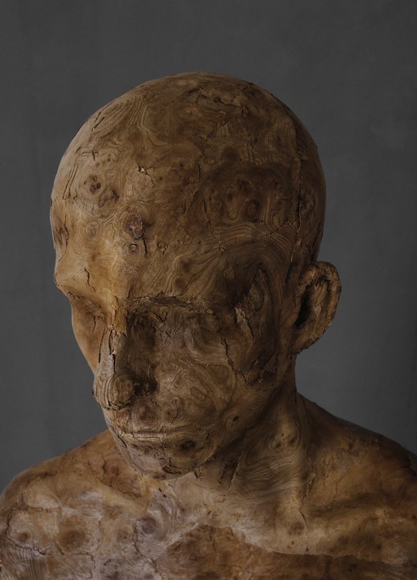 雕塑人-荷兰阿纳姆Levi van Veluw作品---酷图编号7