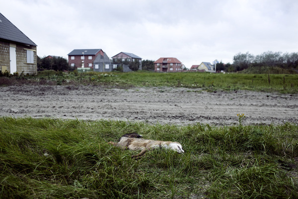 2008至2012年精选摄影-荷兰格罗宁根khomatech摄影师作品---酷图编号23