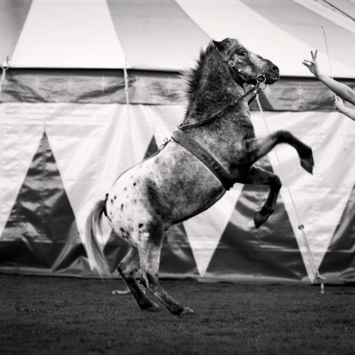 Andrew Shaylor摄影师黑白人像作品---酷图编号16