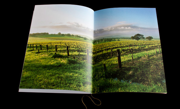 Fonda Xesc企业形象宣传册设计---酷图编号6