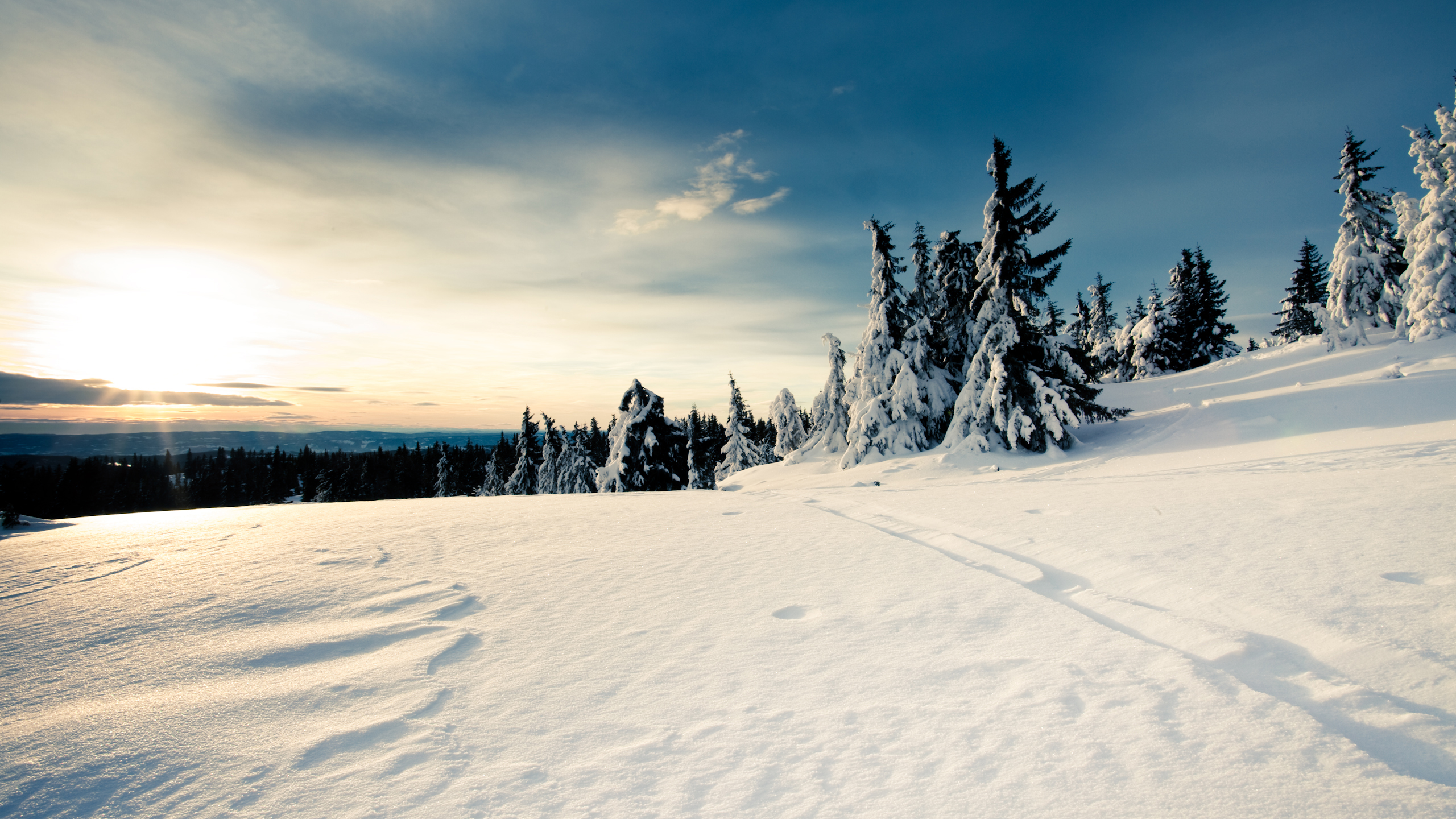 冬雪景 高清晰雪景色 树林树木壁纸 欧莱凯设计网 08php Com