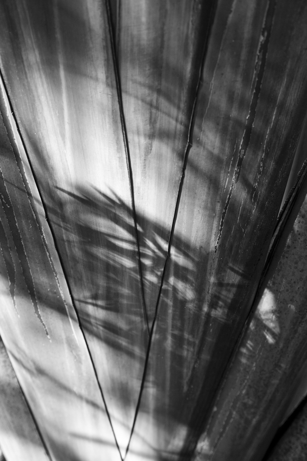 Helvetic旅游夏季黑白人像-德国柏林Michael Schickinger摄影师作品---酷图编号11