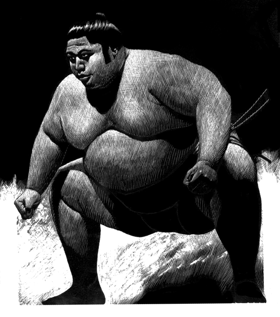 Scratchboard插画-加拿大Robert Richard插画师作品---酷图编号1