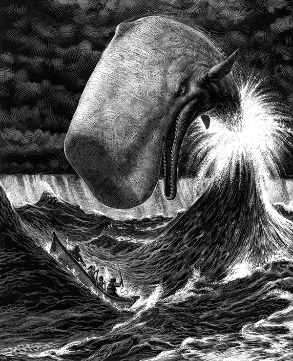 动物插画-西班牙马德里Ricardo Martinez插画师作品---酷图编号2