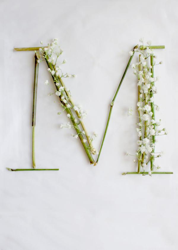 满天星-花草组合的24位英语字母-Keziah Chong设计师作品---酷图编号27