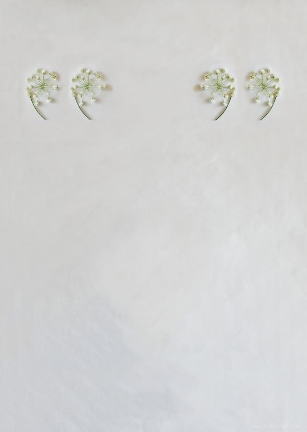 满天星-花草组合的24位英语字母-Keziah Chong设计师作品---酷图编号19