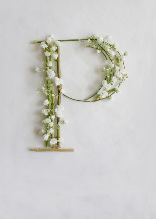 满天星-花草组合的24位英语字母-Keziah Chong设计师作品---酷图编号15