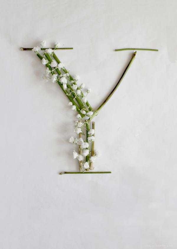 满天星-花草组合的24位英语字母-Keziah Chong设计师作品---酷图编号11