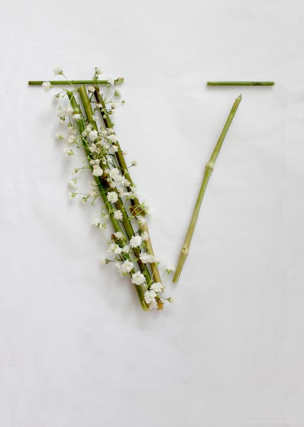 满天星-花草组合的24位英语字母-Keziah Chong设计师作品---酷图编号10