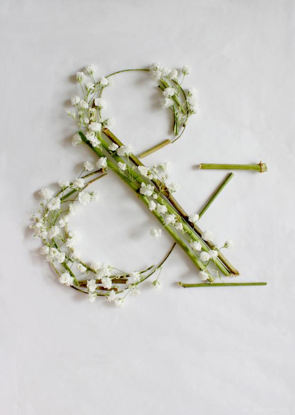 满天星-花草组合的24位英语字母-Keziah Chong设计师作品---酷图编号5