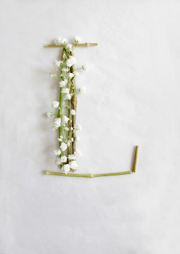 满天星-花草组合的24位英语字母-Keziah Chong设计师作品---酷图编号4