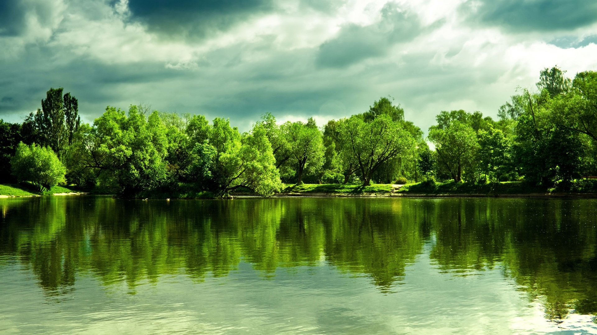 公园湖边草地特写自然风景摄影图高清摄影大图-千库网