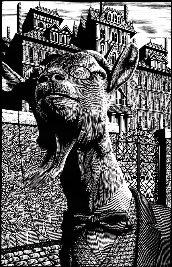 Black and White黑与白插画-美国插画师Douglas Smith作品---酷图编号12