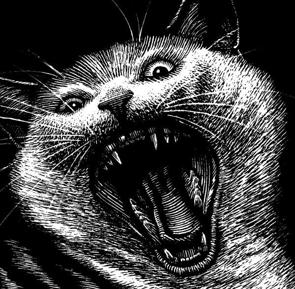 Black and White黑与白插画-美国插画师Douglas Smith作品---酷图编号9