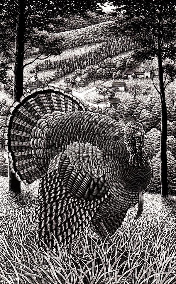 Black and White黑与白插画-美国插画师Douglas Smith作品---酷图编号8