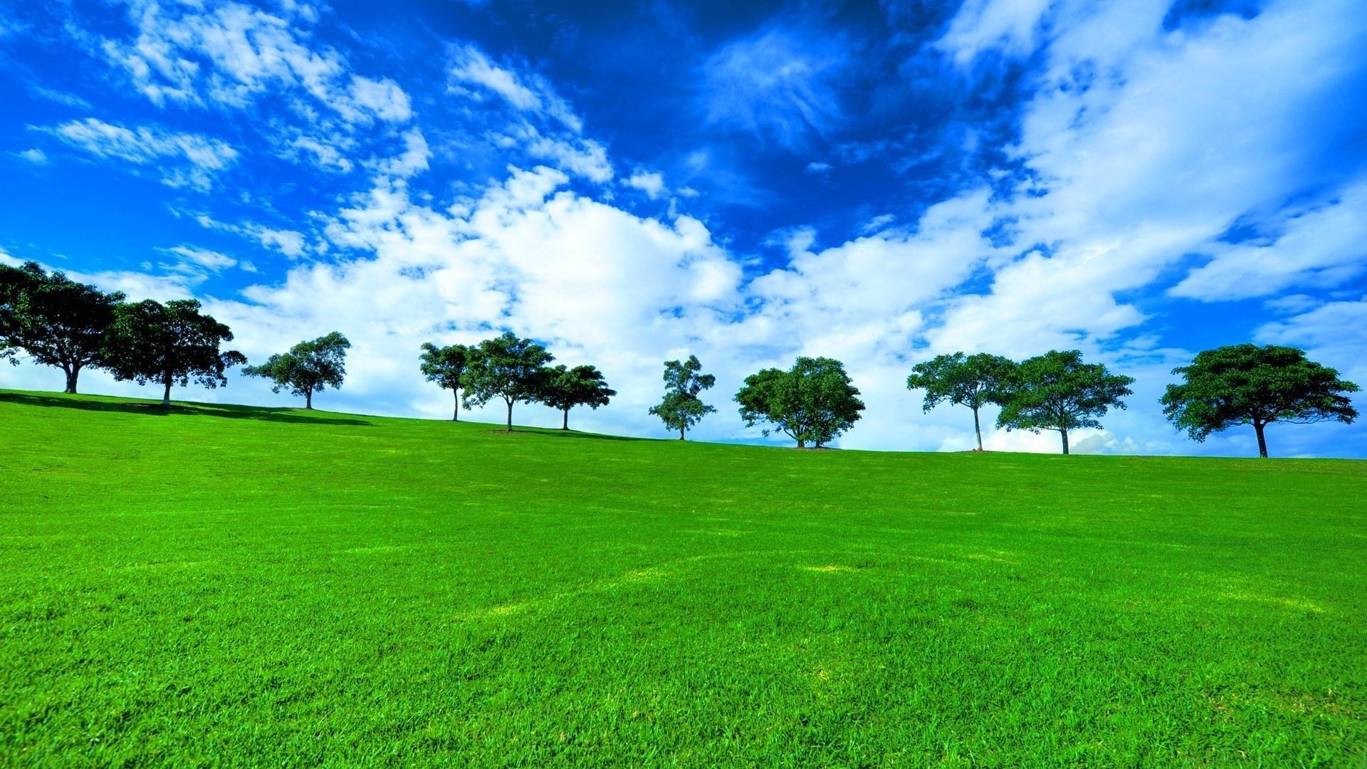 蓝天白云自然风景草原地貌旅游度假野生植物背景图片下载 - 觅知网