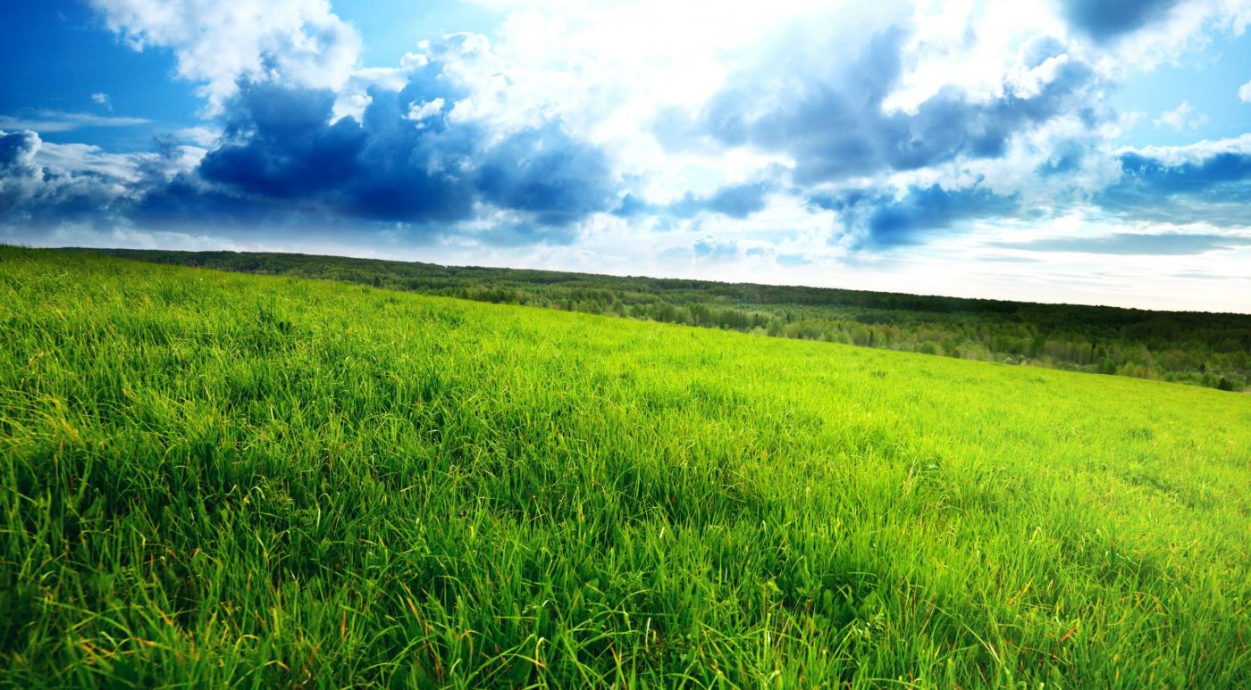 高清晰广阔绿色自然风景壁纸图片