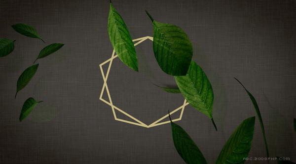 Ginger & Jagger家居品牌,灵感来自大树年轮-葡萄牙波尔图This is Pacifica设计机构作品---酷图编号15