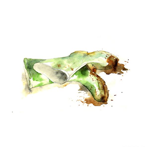 园艺排版及园艺工具插图-Amy Holliday插画师作品---酷图编号5