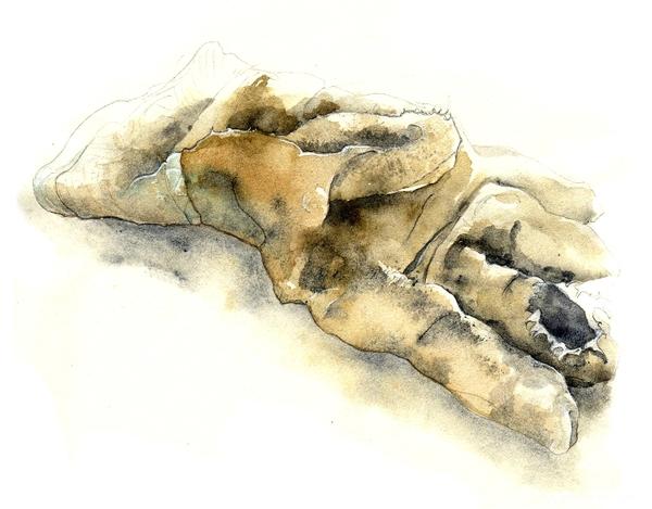 园艺排版及园艺工具插图-Amy Holliday插画师作品---酷图编号3