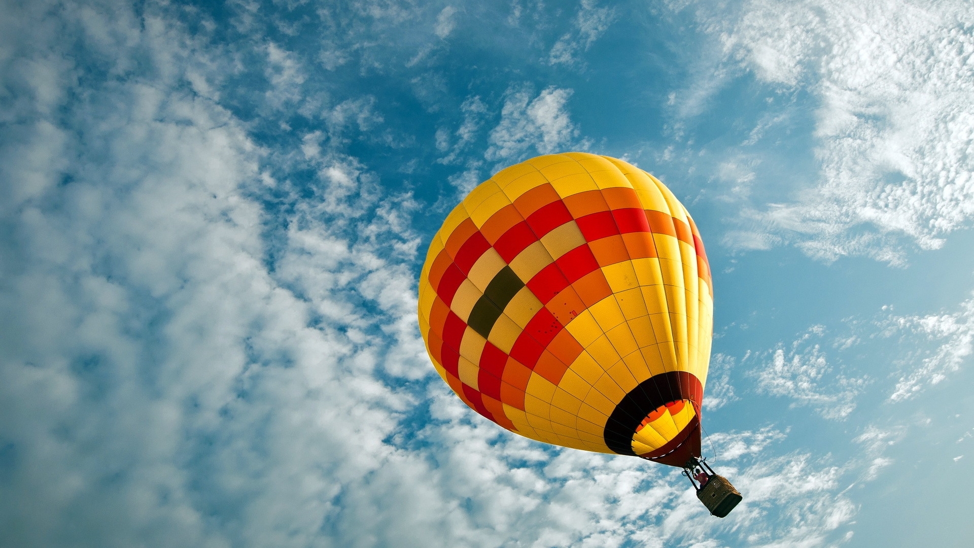 东湖氦气球最全攻略，飞起来看东湖_长江云 - 湖北网络广播电视台官方网站
