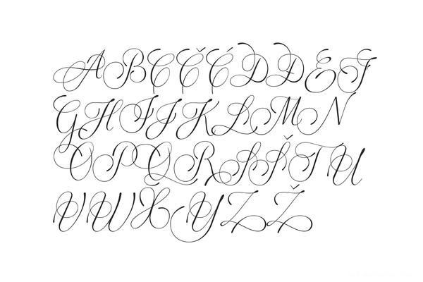 Doyald Script时尚欧式英文字体设计-克罗地亚萨格勒布Hrvoje Dominko字体插画设计师作品---酷图编号14