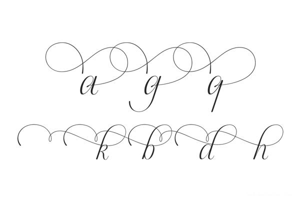 Doyald Script时尚欧式英文字体设计-克罗地亚萨格勒布Hrvoje Dominko字体插画设计师作品---酷图编号13