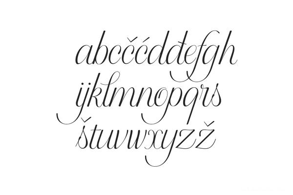 Doyald Script时尚欧式英文字体设计-克罗地亚萨格勒布Hrvoje Dominko字体插画设计师作品---酷图编号7