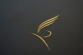 皇家喷气航空飞机-高级行政航空公司品牌