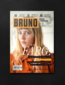 布鲁诺杂志设计欣赏