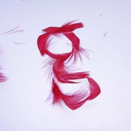 奇形怪状的“G”-俄罗斯莫斯科Sveta Sebyakina设计师作品