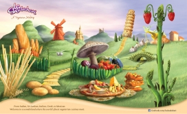 印度斯里兰卡素食平面广告