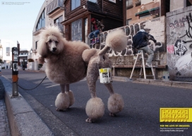 Sneaker Freaker鞋媒体广告