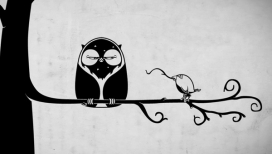 OWL bird猫头鹰插画